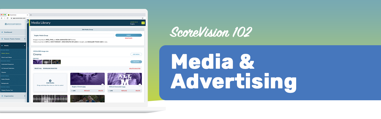Media and Advertising
