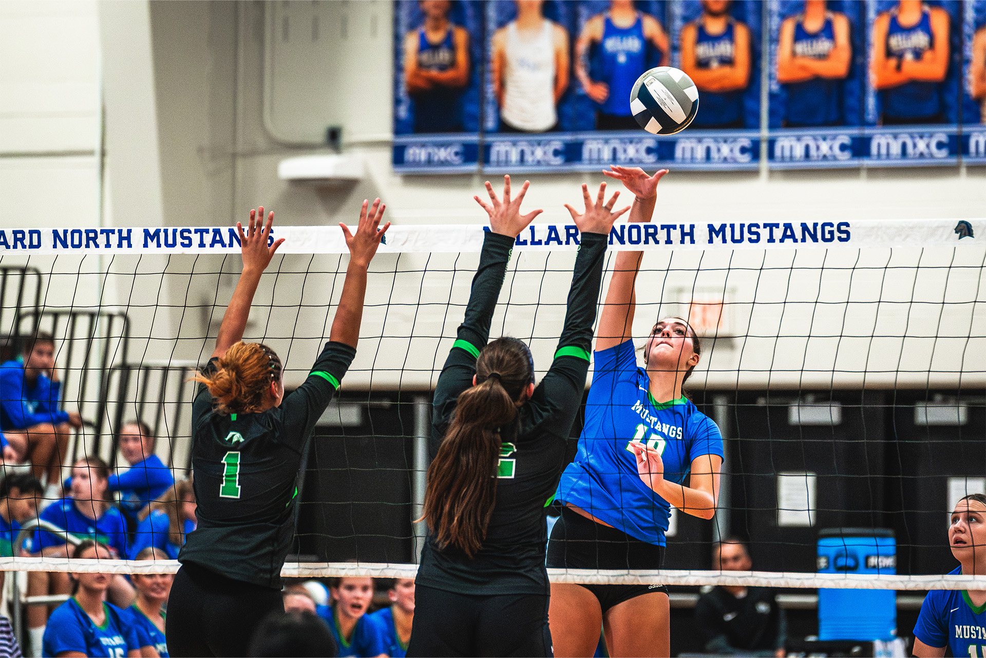 A Mustangs attacker rises above the block and drives the ball across the net.